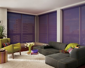 Screen Shades offer UV Protection in Style