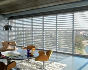 Product Feature: Pirouette Window Shades