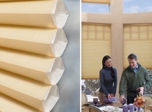 The Duette Honeycomb Shade From Hunter Douglas
