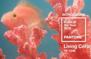 The 2019 Color of the Year