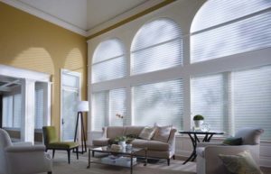 Solutions for Treating Specialty Shaped Windows