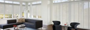 Thinking About Roller or Screen Shades?