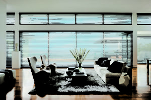 Transformational Light for Your Windows