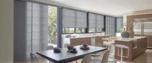 Skyline® Panel-Track Blinds